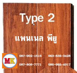 แพนเนล บุฉนวนพียู TYPE 2