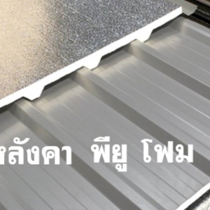 หลังคา พียู สีอะลูซิ้งค์