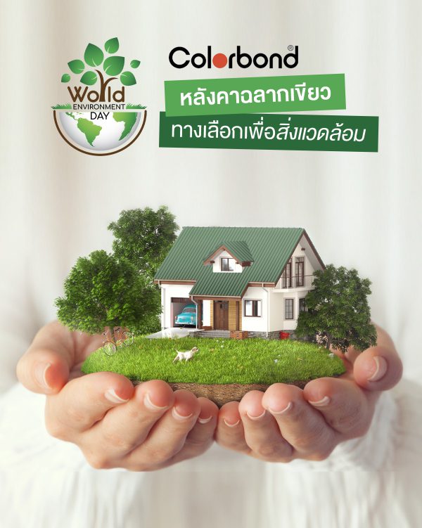 บานาน่า ลีฟ บลูสโคป แซคส์ (BLUESCOPE ZACS®)