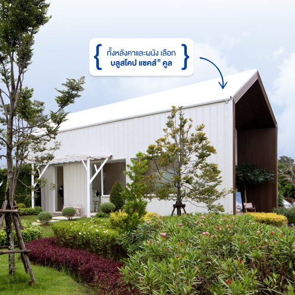 เอเชี่ยน ไวท์ บลูสโคป แซคส์ (BLUESCOPE ZACS®)