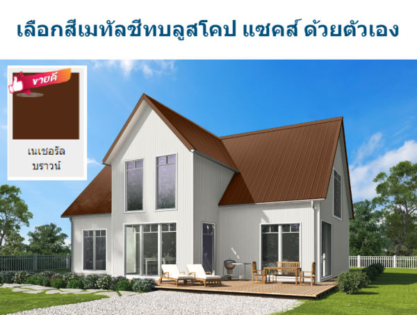 เนเชอรัล บราวน์ บลูสโคป แซคส์ (BLUESCOPE ZACS®)